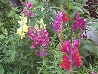558a8718-Picture 018.jpg